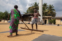 India, Tamil Nadu, Kanchipuram, Workers spread rice out to dry at a rice mill in Kanchipuram.