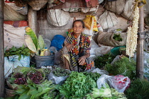 India, West Bengal, Kolkata, A vendor at Malik Ghat flower market.