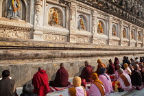 India, Bihar, Bodhgaya, Pilgrims pray at the Mahabodhi Temple at Bodh.