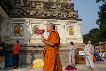 India, Bihar, Bodhgaya, A Buddhist monk holding lotus flowers prays at the Mahabodhi Temple in Bodh.