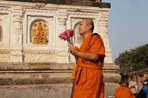 India, Bihar, Bodhgaya, A Buddhist monk holding lotus flowers prays at the Mahabodhi Temple in Bodh.