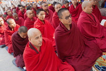 India, Bihar, Bodhgaya, Buddhist monks praying at the Mahabodhi Temple at Bodh.