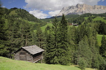 Italy, Trentino Alto Adige, Badia Valley view with wooden farm building, St Leonard.