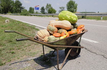 Italy, Veneto, Lake Garda, pumpkin stand.