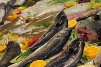 Italy, Lazio, Rome, Testaccio, market, fish detail.