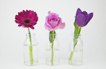 Studio shot of cut flowers in glass bottle.