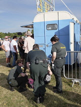 England, Surrey, Guildford, Guilfest, First Aiders helping ill festival goer.