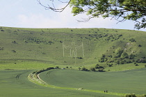 England, East Sussex, Wilmington, The Longman figure carved into the chalk hillside of Windover Hill, 235 feet tall and depicted holding two staves.