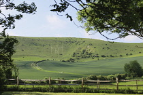 England, East Sussex, Wilmington, The Longman figure carved into the chalk hillside of Windover Hill, 235 feet tall and depicted holding two staves.