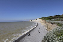 England, East Sussex, Birling Gap, View along pebble beach with Seven Sisters white chalk cliffs