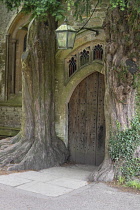 England, Gloucestershire, Stow on the Wold, St Edward's Church, North door flanked by yew trees said to have inspired Tolkien's Doors of Durin in Lord of the Rings.