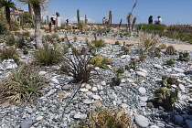 France, Provence-Alpes-Cote d'Azur, Antibes, Jardin des Poetes.