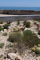 France, Provence-Alpes-Cote d'Azur, Antibes, Jardin des Poetes.