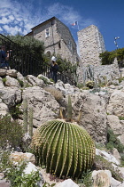 France, Provence-Alpes-Cote d'Azur, Antibes, Cacti and succulents below the Picasso museum.