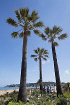 France, Provence-Alpes-Cote d'Azur, Antibes, Jardin des Poetes with Cap d'Antibes in the background.