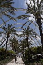 Spain, Valencia Province, Valencia, Ciutat de les Arts i les Ciencies, City of Arts and Sciences, Modern architectural complex designed by Santiago Calatrava and Felix Candela, L'Umbracle, built over...