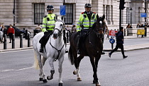 England, London, Whitehall, Mounted police.