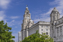 England, Lancashire, Liverpool, Pier Head, The 3 Graces, The Royal Liver Building which along with the neighbouring Cunard Building and Port of Liverpool Building is one of Liverpool's Three Graces li...