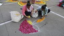 India, Gujarat, Ahmedabad, Pongal festival, floral decorations.